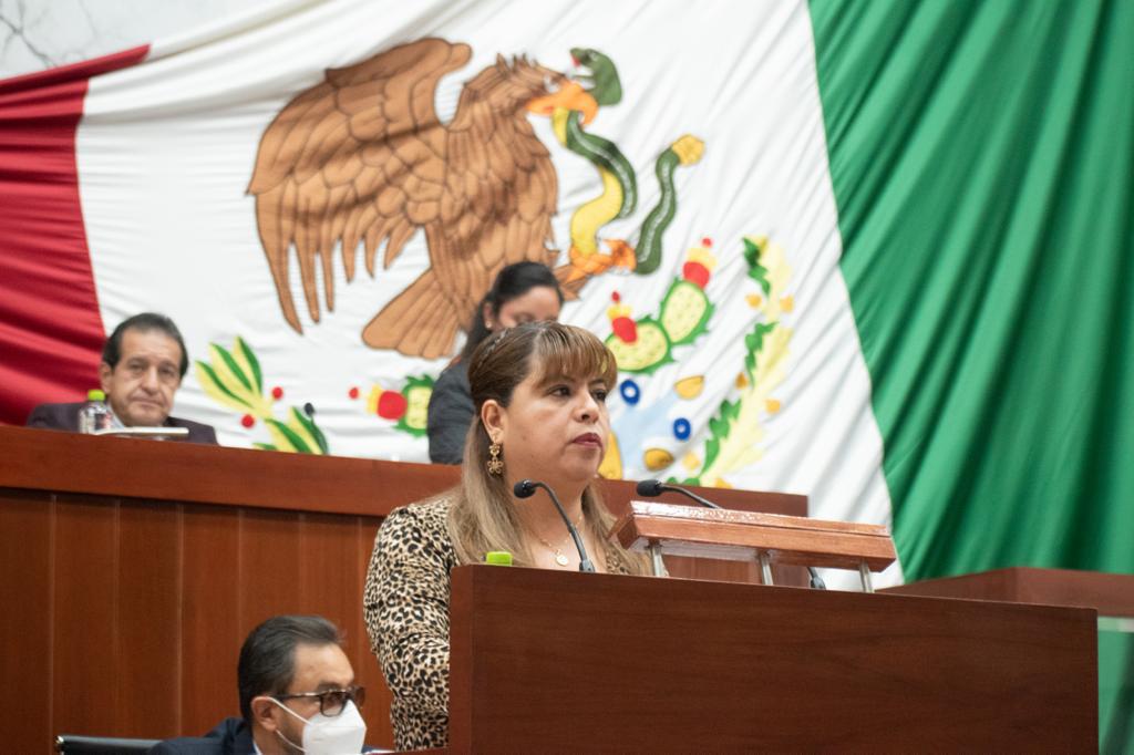 Garantizar voto de personas con discapacidad, adultos mayores y embarazadas, propone Gabriela Brito